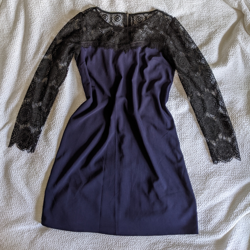 Elegant Black Lace Sleeve Dress